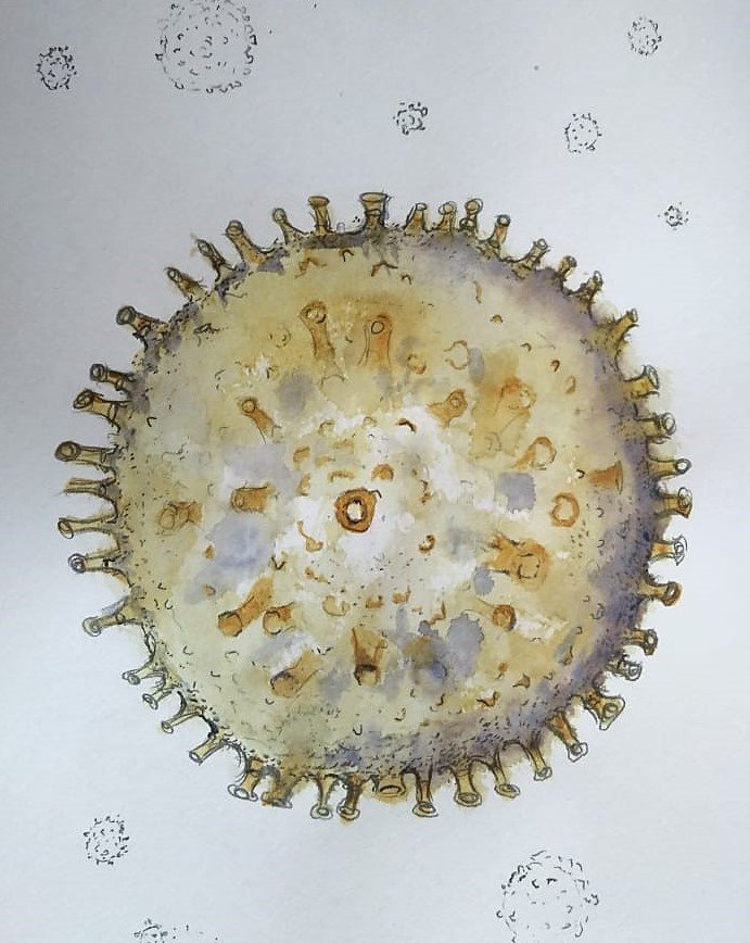 coronavirus-ilustración
